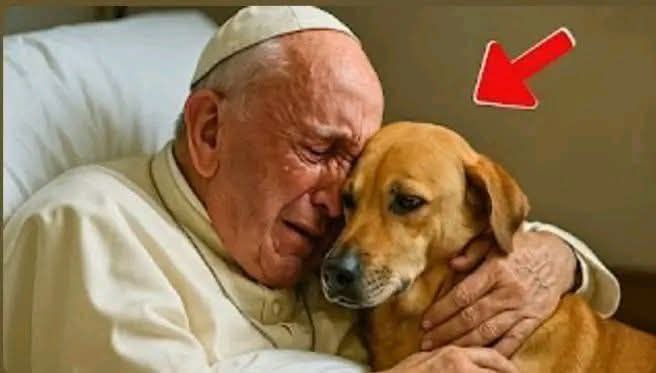 Pope Francis asked to say goodbye to his dog seconds before d… See more